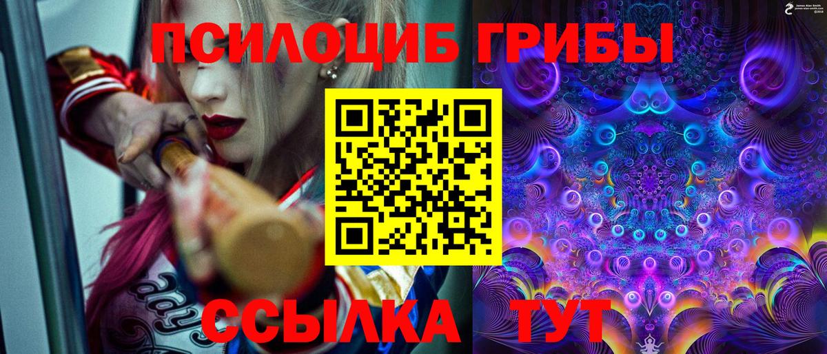 Салават  Псилоцибиновые грибы MAGIC MUSHROOMS  Вход с VPN 