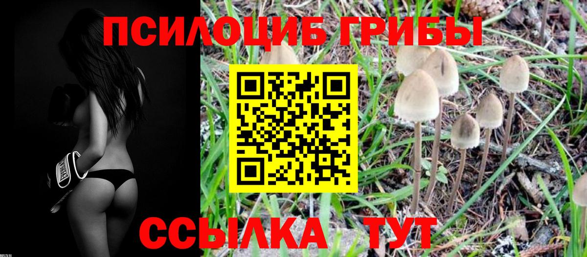 Псилоцибиновые грибы прущие грибы Салават